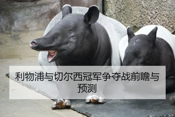 利物浦与切尔西冠军争夺战前瞻与预测